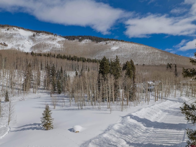 656 Meadow Ln, Crested Butte CO, 81224 land for sale