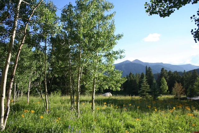 Listing photo 3 for 656 Meadow Ln, Crested Butte CO 81224