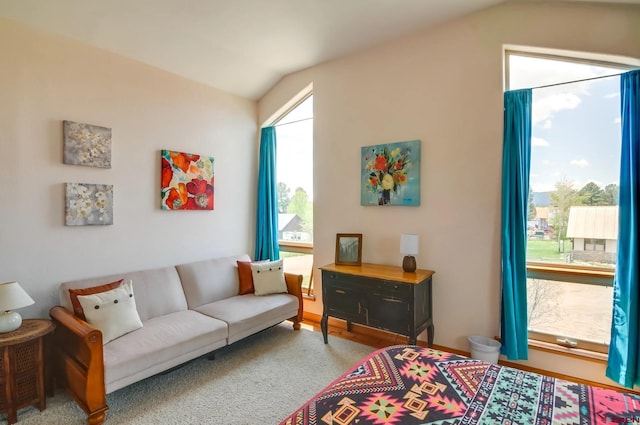 living room with vaulted ceiling