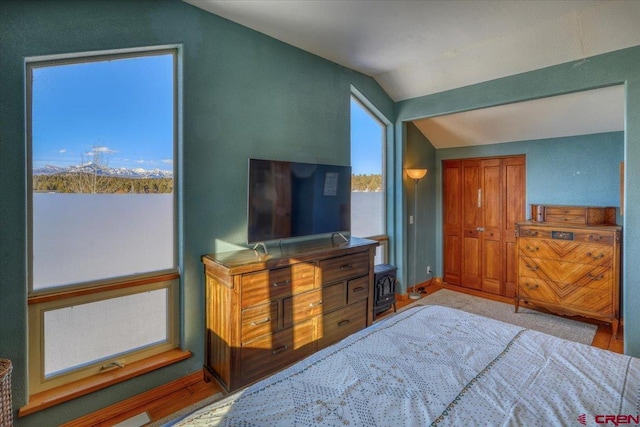 bedroom featuring vaulted ceiling