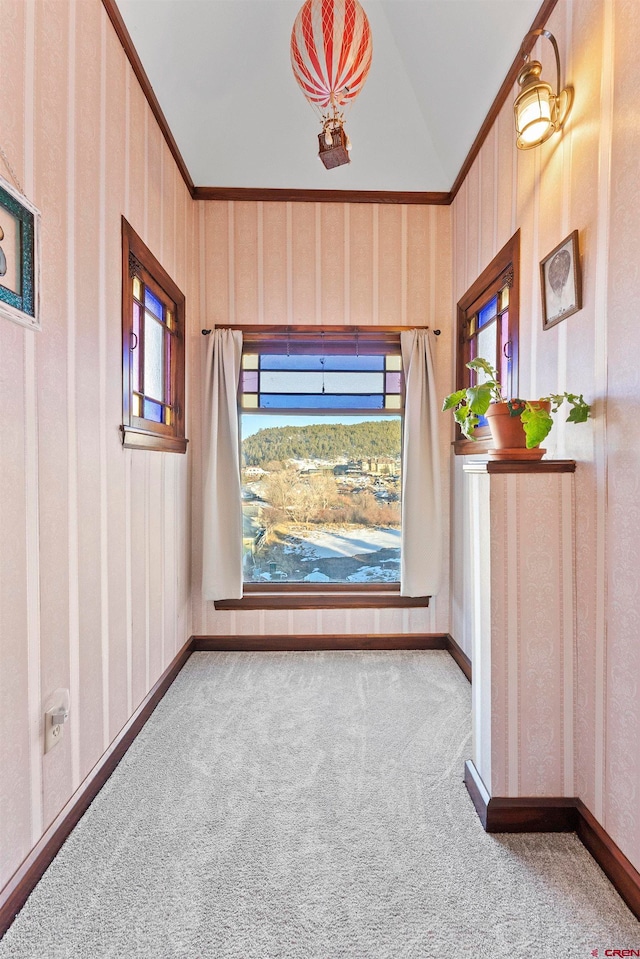 interior space with wooden walls, ornamental molding, and carpet flooring