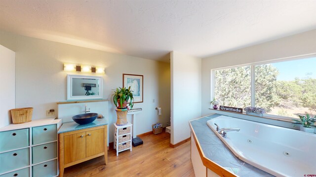 bathroom with a bathtub, wood-type flooring, and vanity with extensive cabinet space