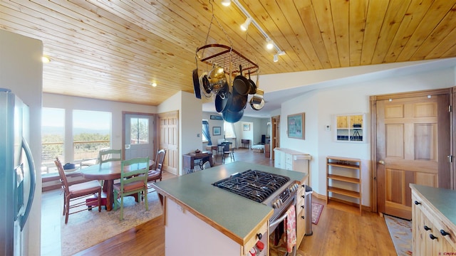 kitchen featuring appliances with stainless steel finishes, track lighting, lofted ceiling, light hardwood / wood-style floors, and wooden ceiling