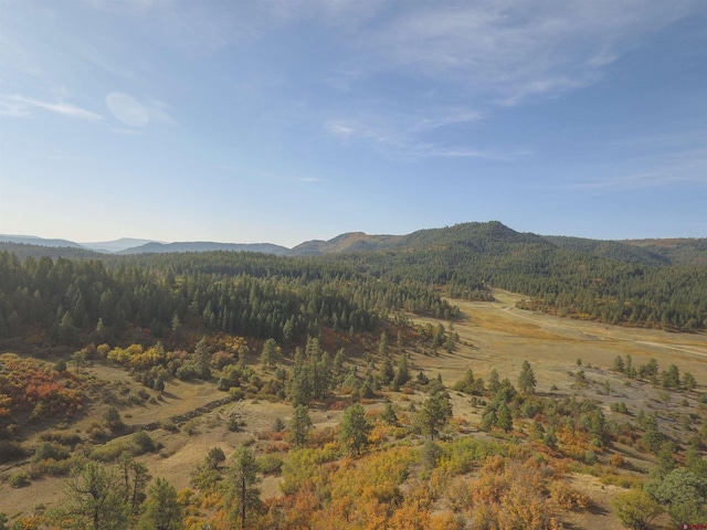 208 Peace Pl, Pagosa Springs CO, 81147 land for sale