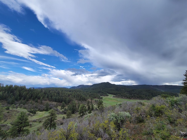 Listing photo 2 for 208 Peace Pl, Pagosa Springs CO 81147