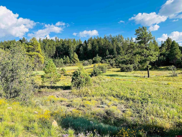 251 Rifle Pl, Pagosa Springs CO, 81147 land for sale