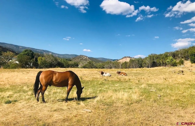 view of stable with a rural view and a mountain view