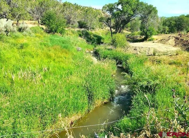 view of local wilderness featuring a water view