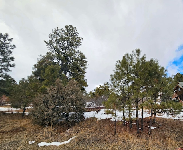 360 Caddy Cir, Pagosa Springs CO, 81147 land for sale