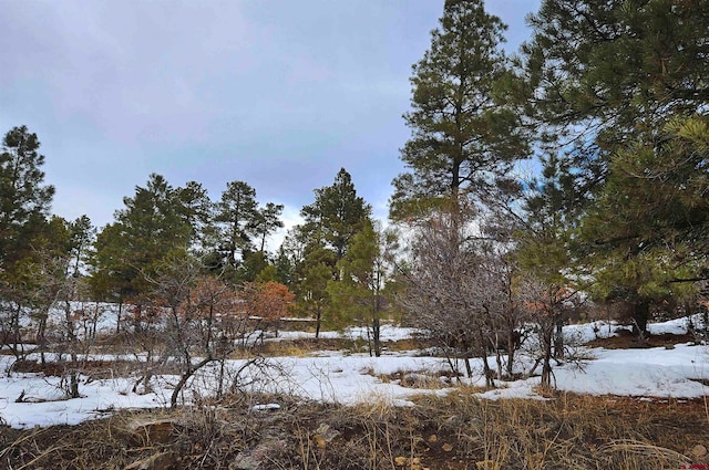 Listing photo 2 for 360 Caddy Cir, Pagosa Springs CO 81147