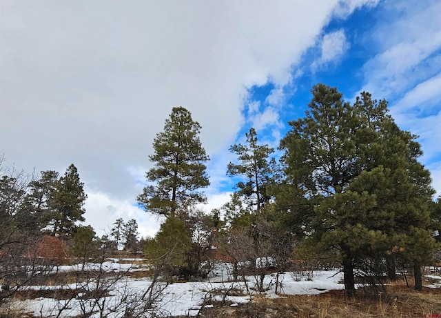 Listing photo 3 for 360 Caddy Cir, Pagosa Springs CO 81147