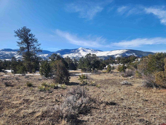 88 Silver Thread Cir, South Fork CO, 81154 land for sale