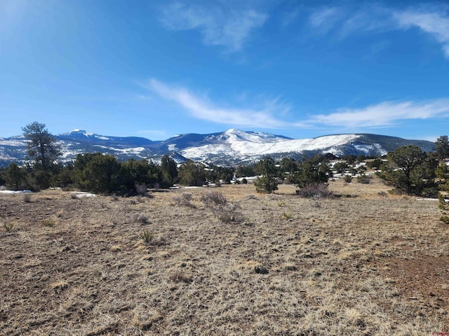 Listing photo 2 for 88 Silver Thread Cir, South Fork CO 81154