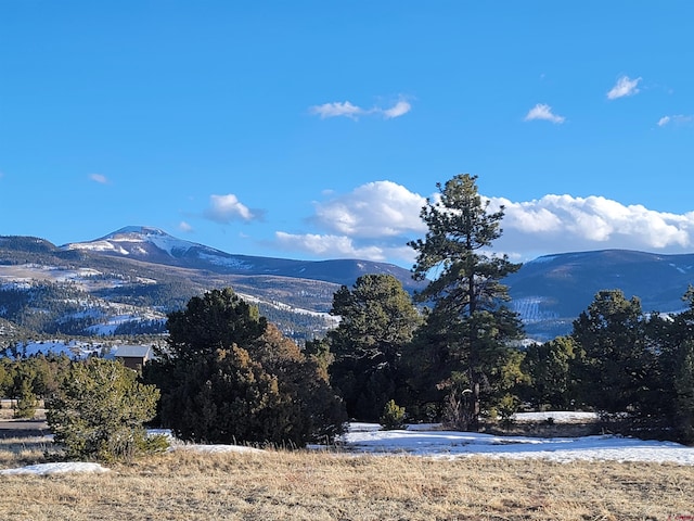 4413 Bear Creek Cir, South Fork CO, 81154 land for sale