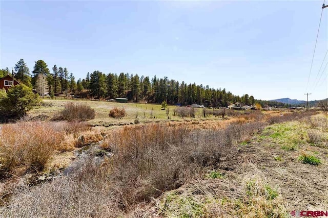 Listing photo 3 for 10200 W US Highway 160, Pagosa Springs CO 81147