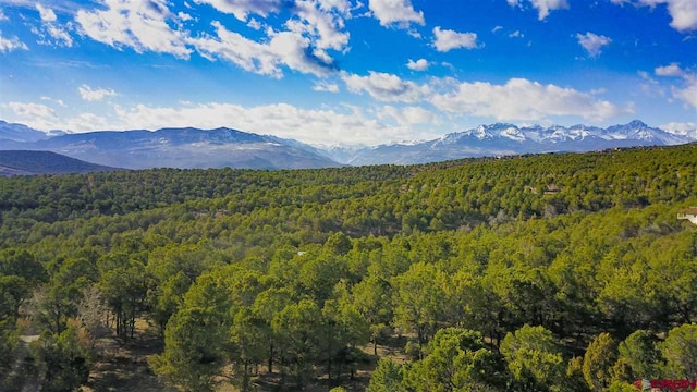 671 Bristlecone Dr, Ridgway CO, 81432 land for sale