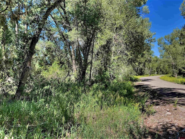 128,136,150 Ute Trail, South Fork CO, 81154 land for sale