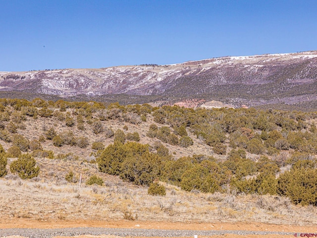 view of mountain view