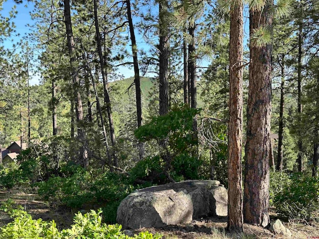 72 Cabin Creek Dr, Durango CO, 81301 land for sale