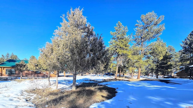 Listing photo 2 for 165 Bristlecone Dr, South Fork CO 81154