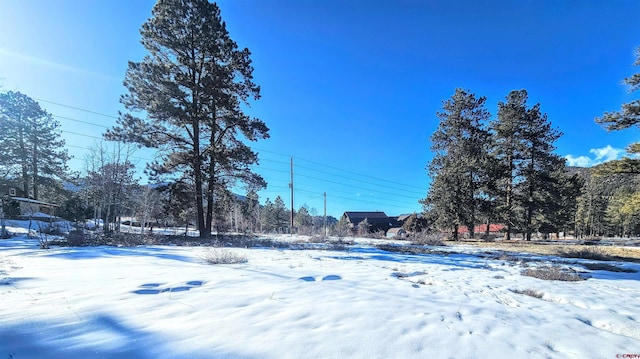 Listing photo 3 for 165 Bristlecone Dr, South Fork CO 81154