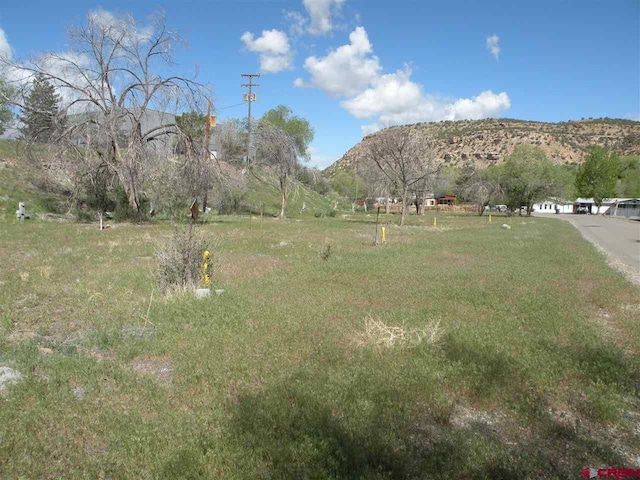 401 Payson St, Naturita CO, 81422 land for sale