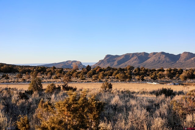 TBDTRACT7 Bostwick Park Rd, Montrose CO, 81403 land for sale