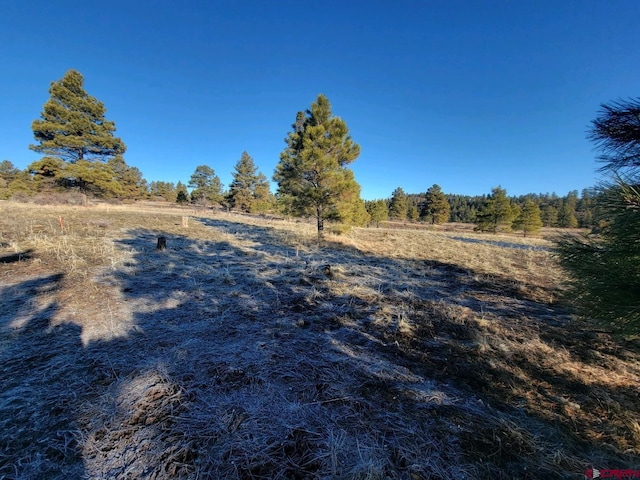 Listing photo 3 for 660 Trails Blvd, Pagosa Springs CO 81147