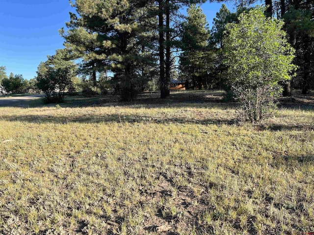 1336 Buttress Ave, Pagosa Springs CO, 81147 land for sale