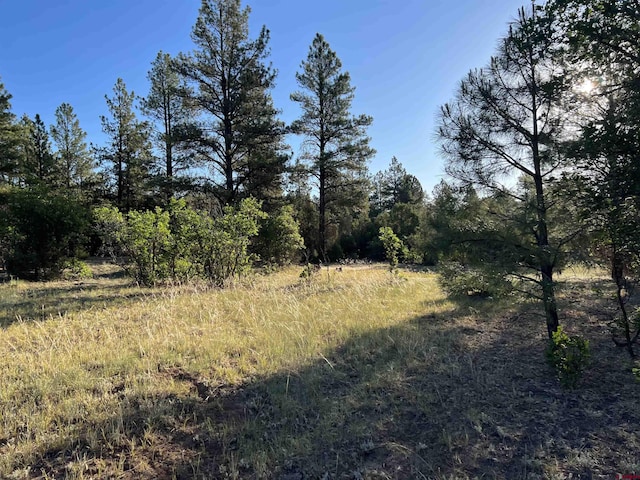 Listing photo 3 for 1336 Buttress Ave, Pagosa Springs CO 81147