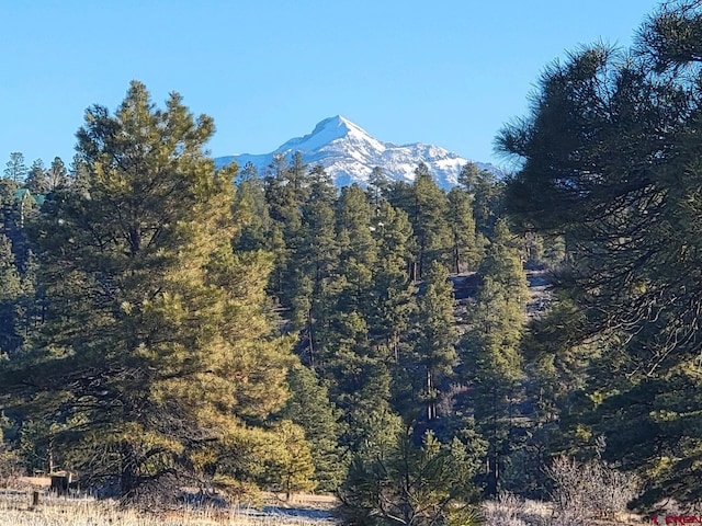 Listing photo 3 for 642 Trails Blvd, Pagosa Springs CO 81147