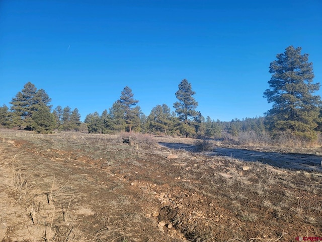 Listing photo 3 for 176 Landau, Pagosa Springs CO 81147