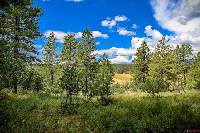 182 Saddlehorn Pl, Pagosa Springs CO, 81147 land for sale