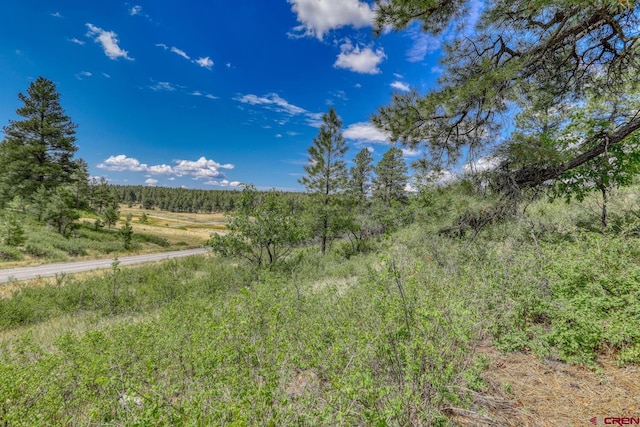 Listing photo 3 for 182 Saddlehorn Pl, Pagosa Springs CO 81147