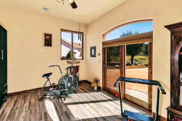 exercise room featuring ceiling fan and dark hardwood / wood-style floors