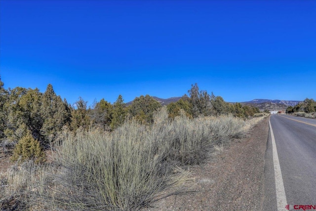 160 County Road 982, Arboles CO, 81121 land for sale