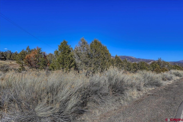 Listing photo 3 for 160 County Road 982, Arboles CO 81121