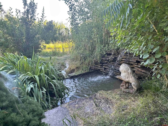 view of local wilderness featuring a water view