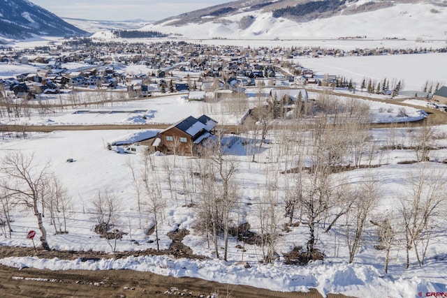 Listing photo 3 for 4321 Bryant Ave, Crested Butte CO 81224