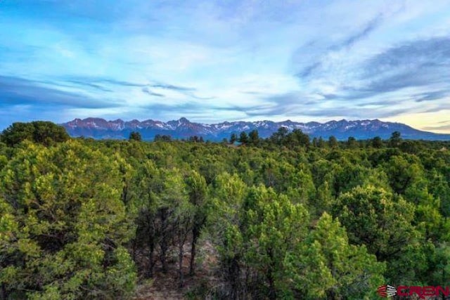 245 Tower Rd N, Ridgway CO, 81432 land for sale