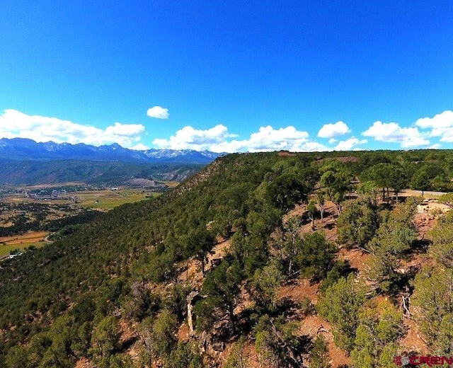 TBD Pine Dr, Ridgway CO, 81432 land for sale