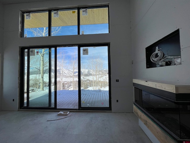 doorway featuring a wealth of natural light