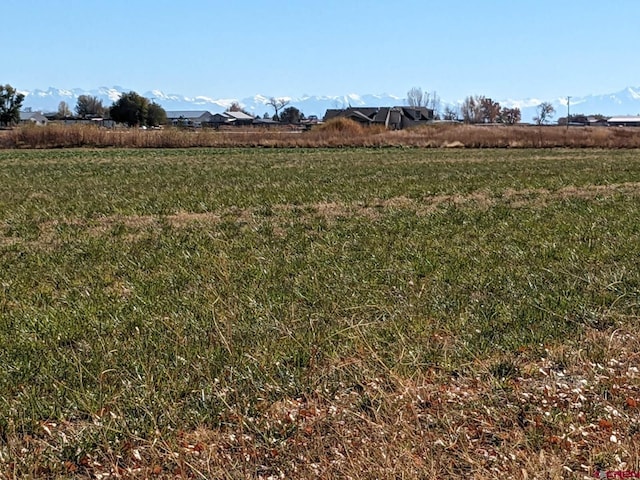 view of yard featuring a rural view