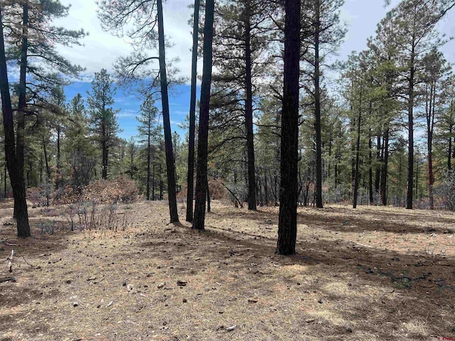 957 Starling Cir, Pagosa Springs CO, 81147 land for sale