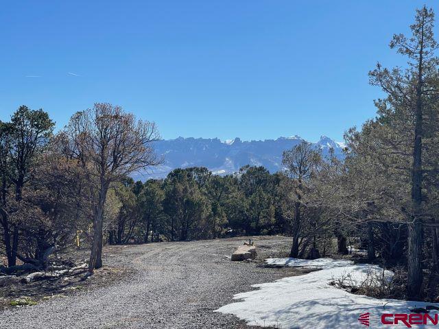 Listing photo 2 for TBD Pine Dr, Ridgway CO 81432