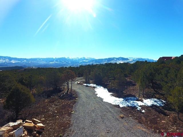 Listing photo 3 for TBD Pine Dr, Ridgway CO 81432