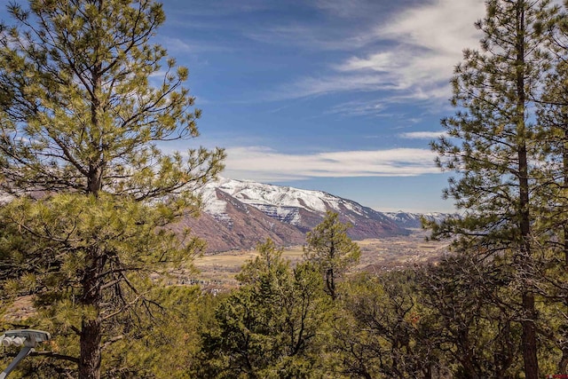 view of mountain view