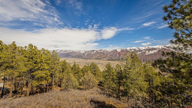 view of mountain view