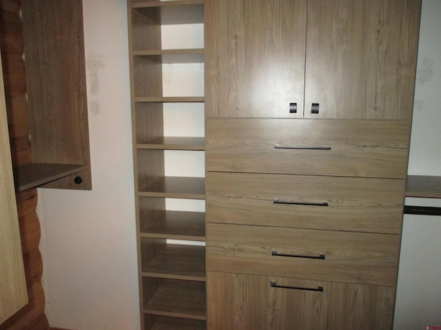 view of closet