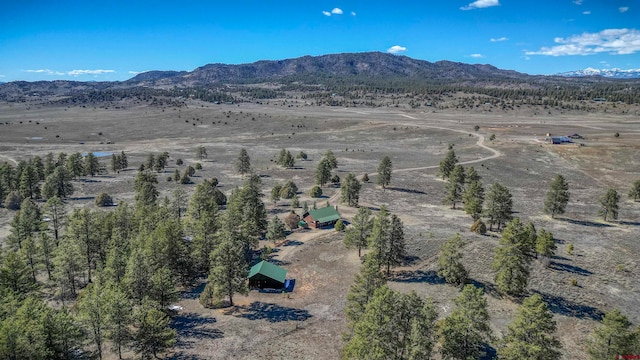 birds eye view of property featuring a mountain view and a rural view